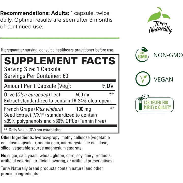 Terry Naturally Blood Pressure Health 60 Capsules
