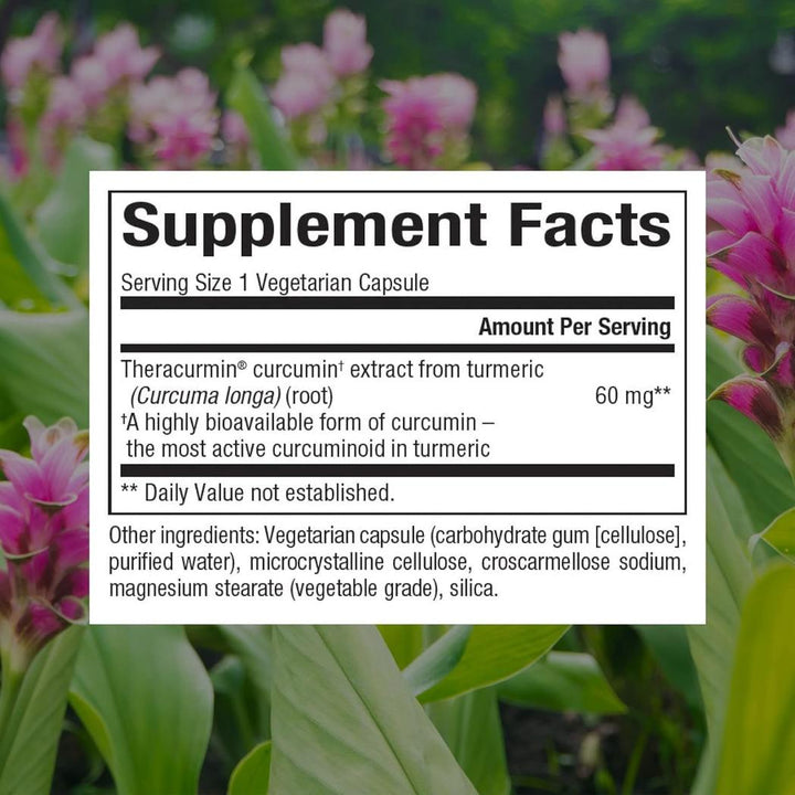 Natural Factors CurcuminRich Double Strength Theracurmin Supplement 120 capsules