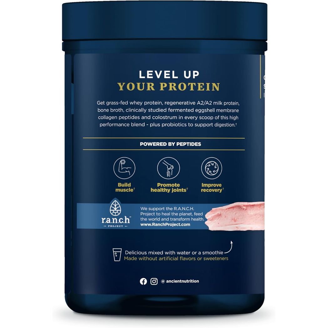 Ancient Nutrition Multi Protein Animal Based Powder, 26g Protein, Grass Fed Whey, Bone Broth, Collagen Peptides, Colostrum & Probiotics, Supports Joint & Gut Health, Strawberry, 15 Servings