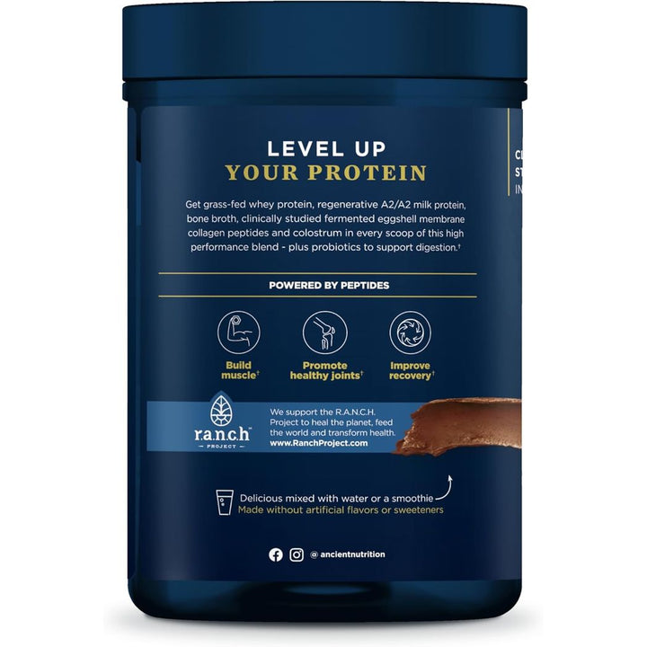 Ancient Nutrition Multi Protein Animal Based Powder, 26g Protein, Grass Fed Whey, Bone Broth, Collagen Peptides, Colostrum & Probiotics, Supports Joint & Gut Health, Milk Chocolate, 15 Servings